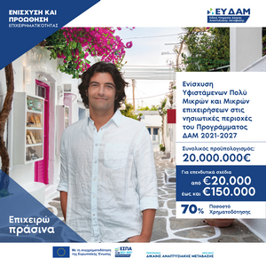 Υφιστάμενες επιχειρήσεις ΔΑΜ